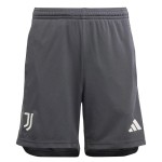 Kid's Juventus 2023/24 Third Shorts