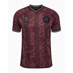 Men's Denmark 2024 Special Shirt