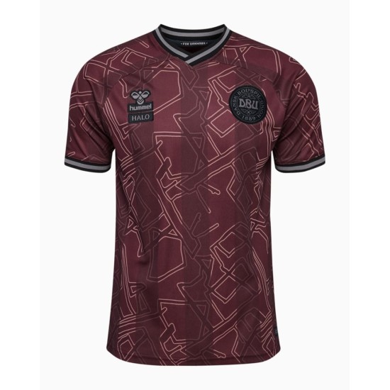 Kid's Denmark 2024 Special Shirt