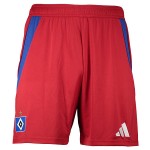 Men's Hamburger SV 2024/25 Home Shorts