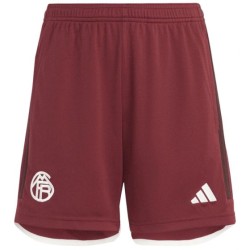 Men's Bayern Munich 2023/24 Third Shorts