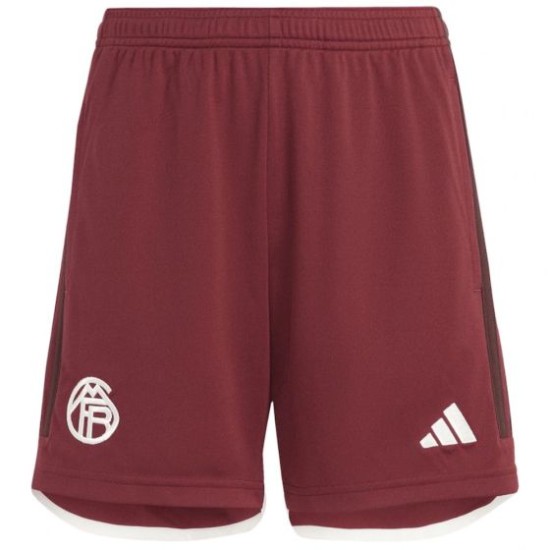 Men's Bayern Munich 2023/24 Third Shorts