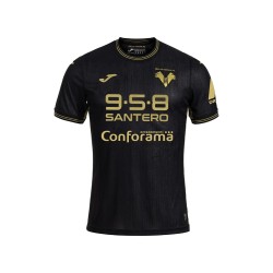 Men's Hellas Verona 2024/25 Third Shirt