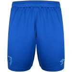 Women's AFC Bournemouth 2025/26 Away Shorts