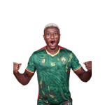 Men's Cameroon 2025/26 Third Fourteen AFCON Shirt Men's Cameroon 2025/26 Third Fourteen AFCON Shirt