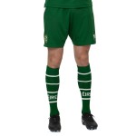 Kid's Ireland 2026 Home Shorts