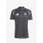 Men's Strasbourg 2024/25 Third Pre Match Shirt  -  Grey
