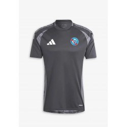 Men's Strasbourg 2024/25 Third Pre Match Shirt  -  Grey