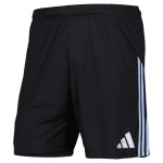 Men's Aston Villa 2025/26 Away Shorts