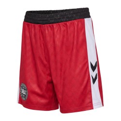 Women's Denmark 2024/25 Women's Team Special Shorts