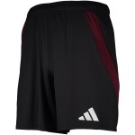 Men's 1. FC Nürnberg 2024/25 Home Shorts