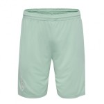 Men's Werder Bremen 1846 2024/25 Away Shorts