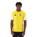 Men's South Africa 2026 Home World Cup Pre Match Shirt Men's South Africa 2026 Home World Cup Pre Match Shirt