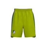 Men's TSG Hoffenheim 2024/25 Third Shorts Men's TSG Hoffenheim 2024/25 Third Shorts