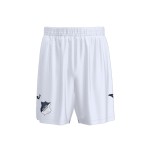 Men's TSG Hoffenheim 2025/26 Third Shorts