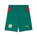 Men's Senegal 2026 Away World Cup Shorts