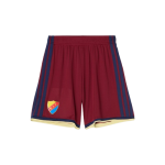 Men's Djurgårdens IF 2026 Away Shorts