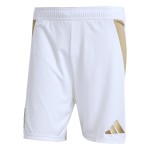 Men's Los Angeles FC 2025 Away Shorts