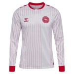 Kid's Denmark 2026 Away World Cup Long Sleeve Shirt